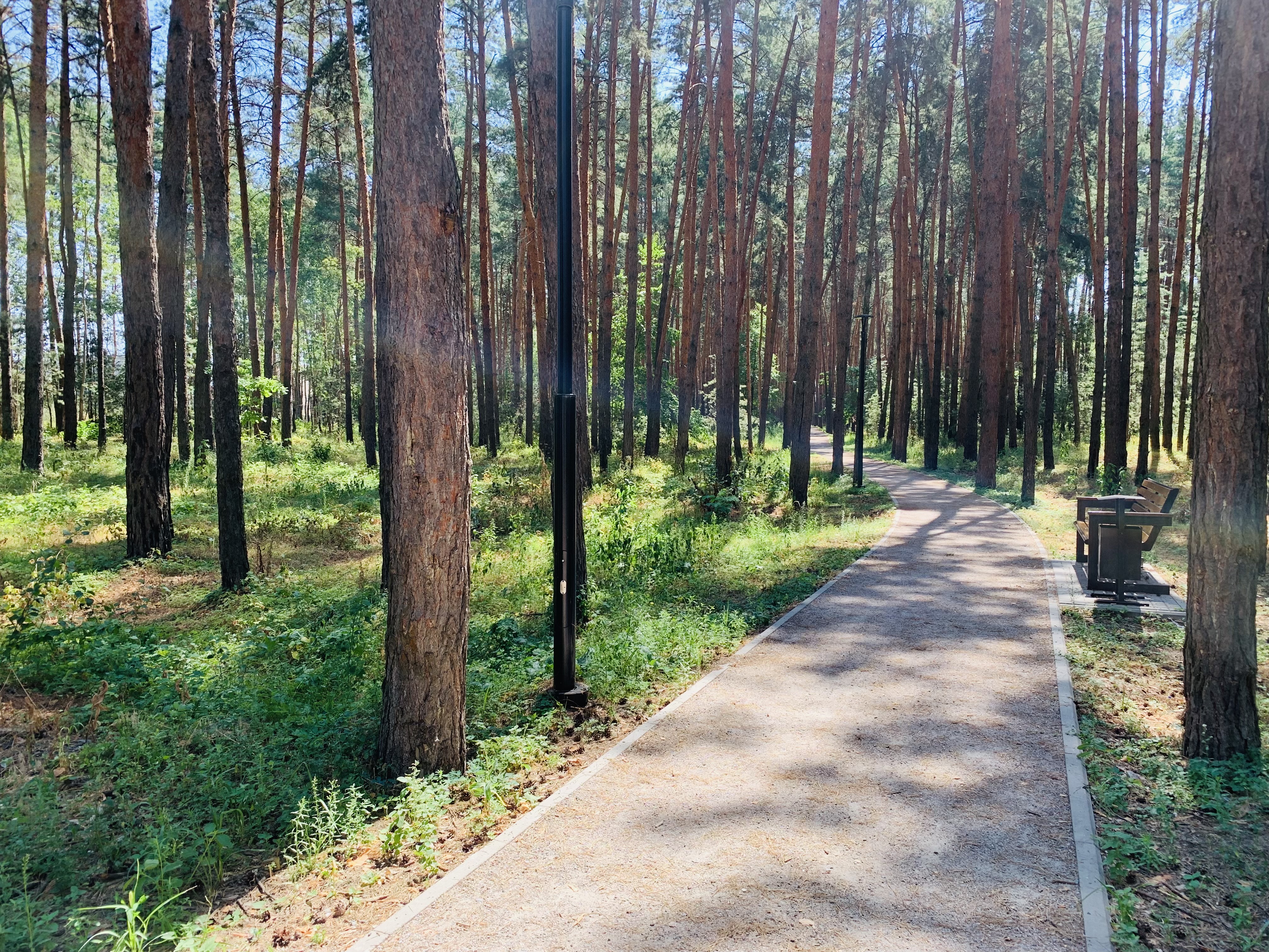 Приютовский парк.